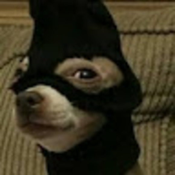 Meet your Posher, Spartakus - Picture 1 of 1